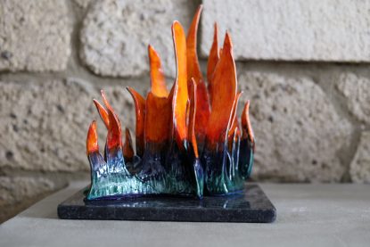CORAL NO VII